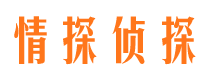 冷湖市私人侦探